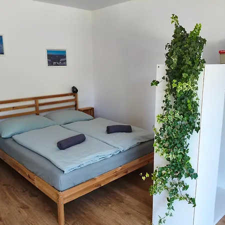 Apartman Matylda Destne v Orlickych horach Exterior photo