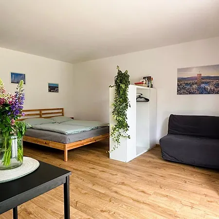 Apartman Matylda Destne v Orlickych horach Exterior photo